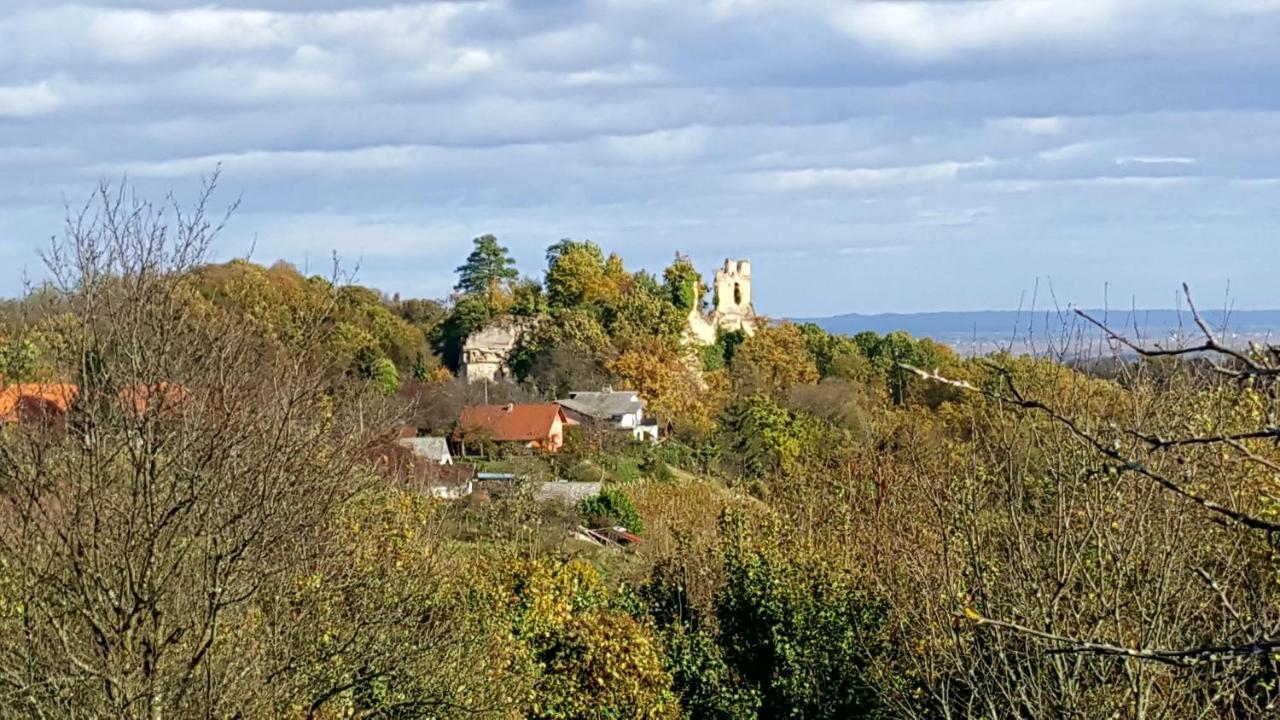 Kuca Za Odmor Vinica Breg Villa Varazdin Exterior photo